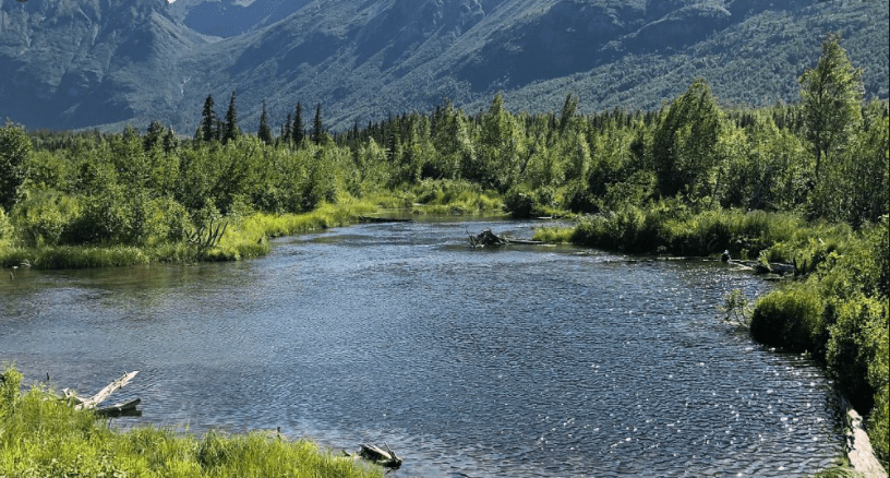 Eagle River Counseling